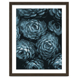 Succulent Plant Blue Ii thumbnail