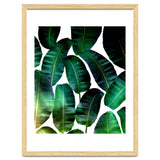 Cosmic Banana Leaves thumbnail