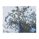 Coral Rising (Print Only) thumbnail