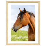 Horse Portrait thumbnail