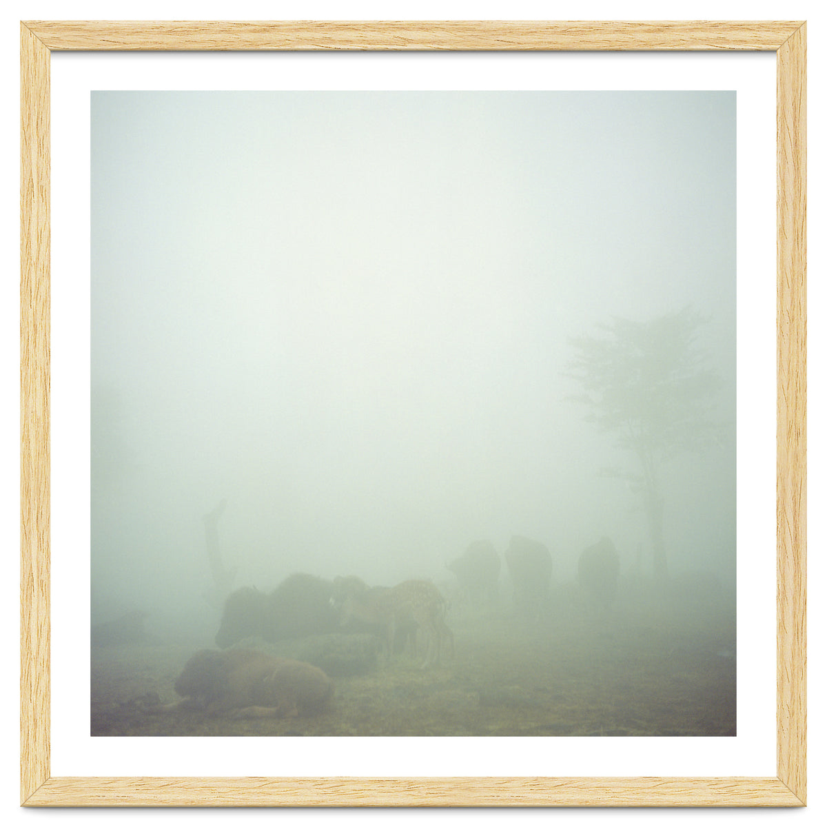 Silence of breath - 03