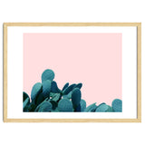 Kaktos thumbnail