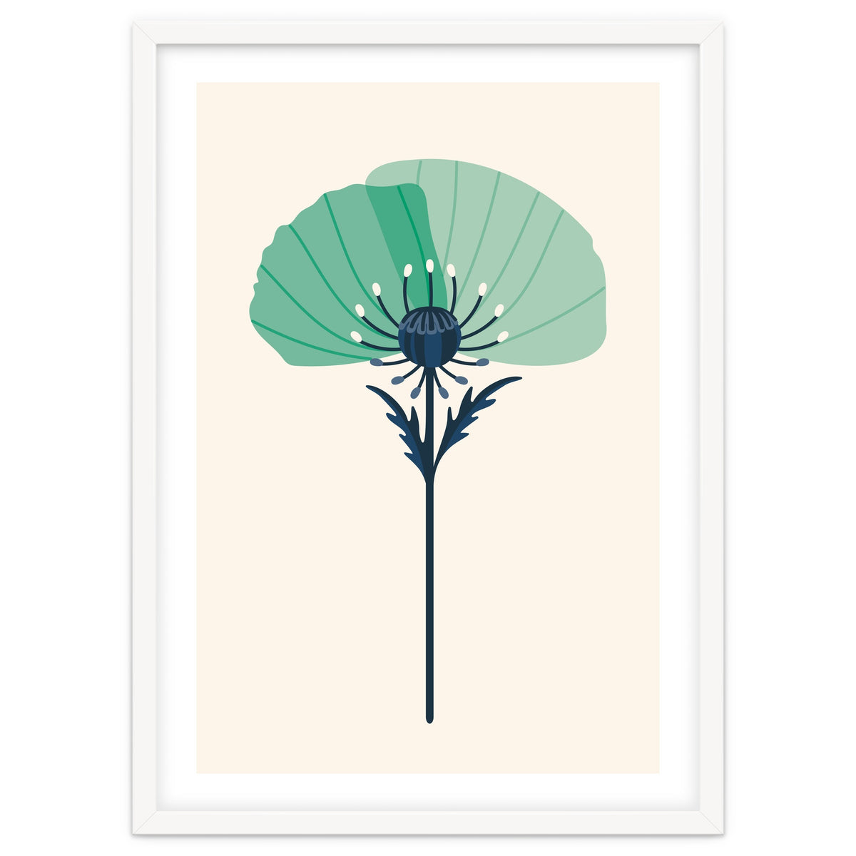 Teal Half Poppy