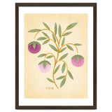 Vintage Fruits thumbnail