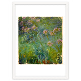 Claude Monet (1840-1926). Agapanthus. thumbnail