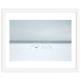 Seagulls in the Snow beach thumbnail