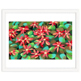 Red flowers thumbnail