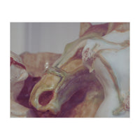 Ceramics II (Print Only)
