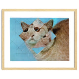 The Depressive Cat Am Abend Bekommt Den Blues thumbnail