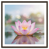 Ethereal Lotus Bloom: Serene Botanical Reflection thumbnail
