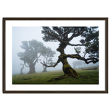 Forest queen thumbnail