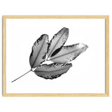Branches and Leaves, 2016, 1 thumbnail