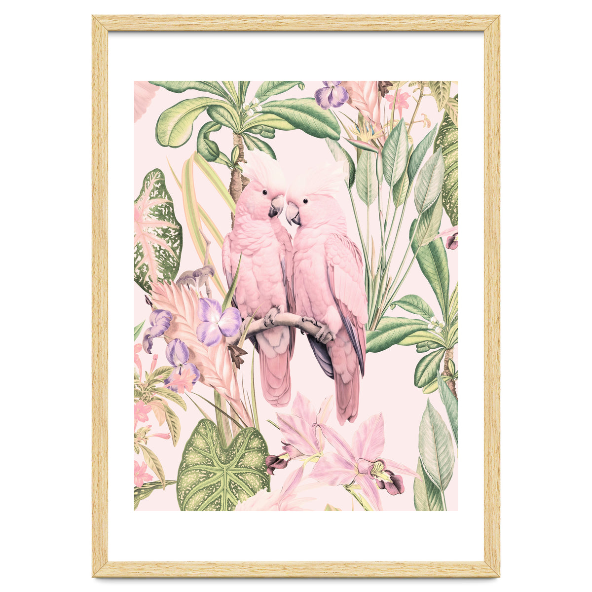 Pink Cockatoos in Love