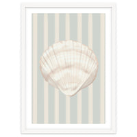 Sea shell