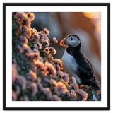 Puffin Bird On Rocks Near Pink Flowers At Sunset thumbnail