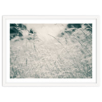 Walking Through Long Grass