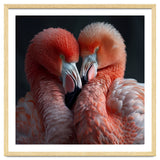 Two Flamingos Together Showing Affection thumbnail