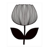 Tulip (Print Only) thumbnail