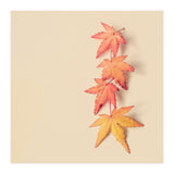 Maple In Pastel (Print Only) thumbnail