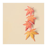 Maple In Pastel (Print Only)