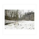 White horse in the snow field (Print Only) thumbnail