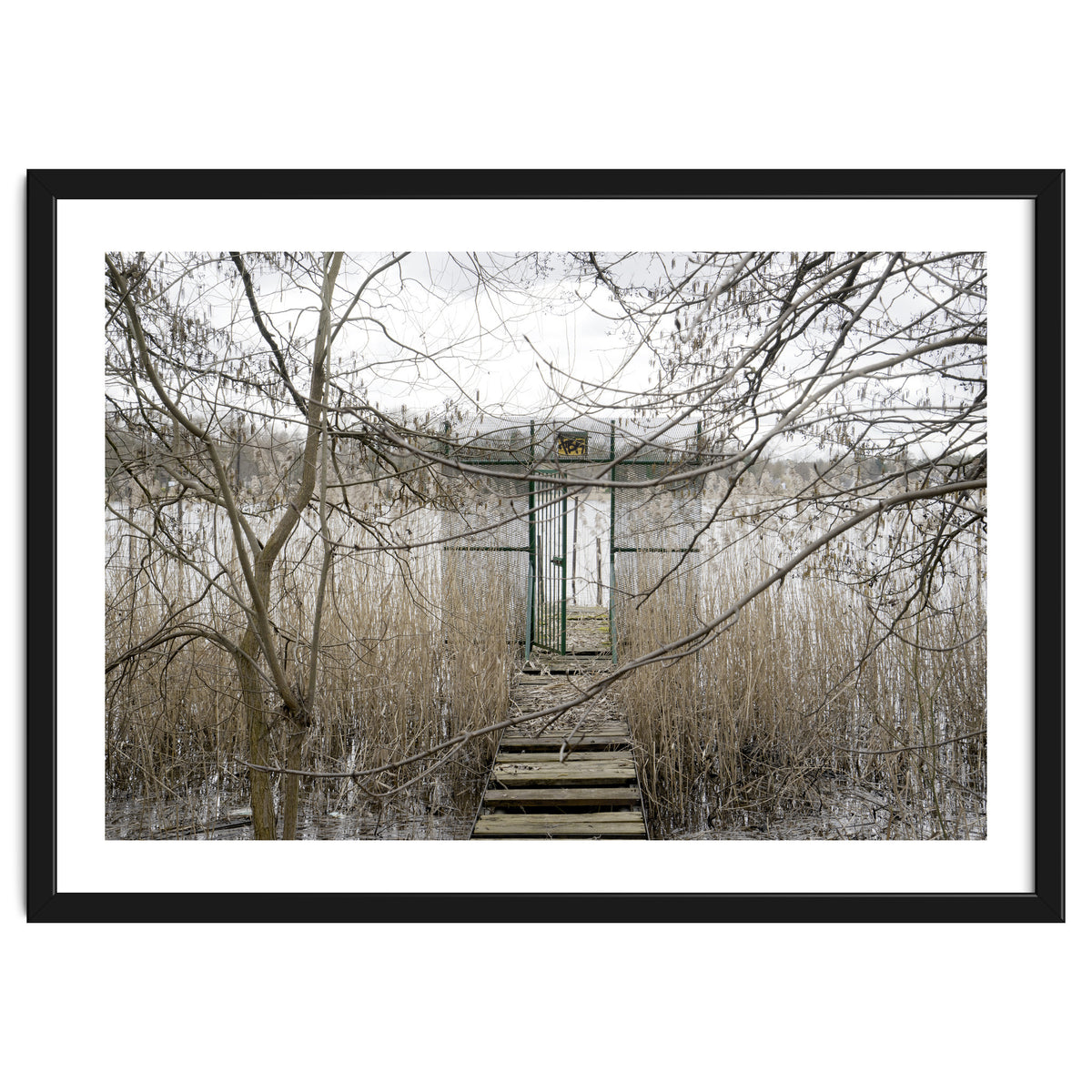 The gate to the lake