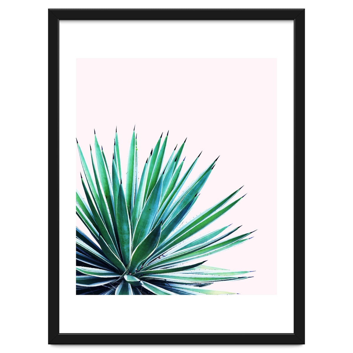 Agave Love #society6 #decor #buyart