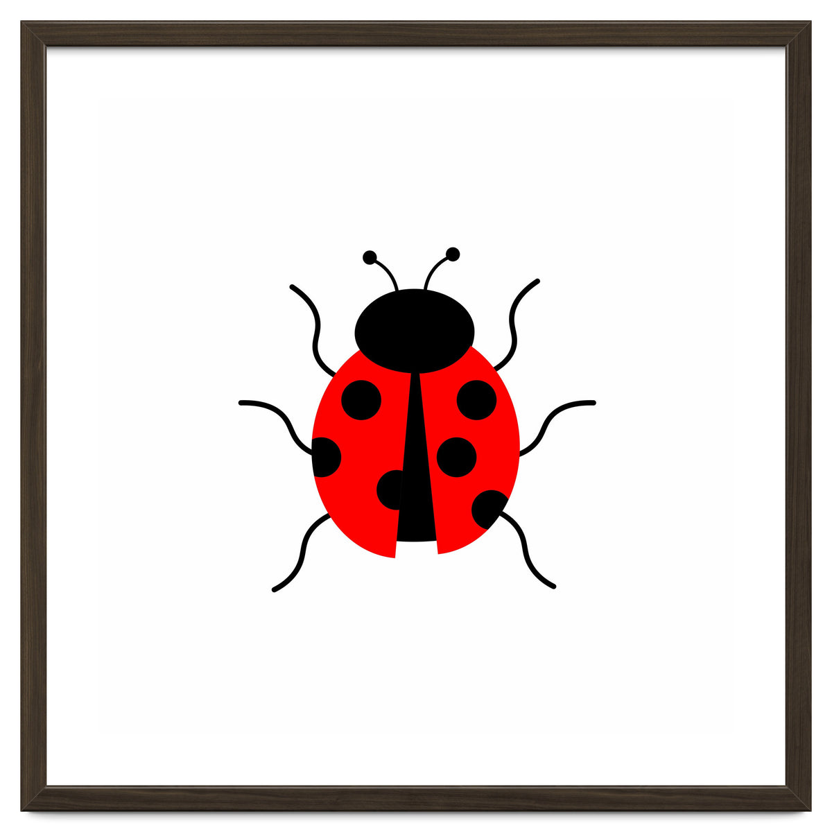 Lady Bug
