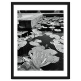 Lotus Pond | Black & White Portrait thumbnail