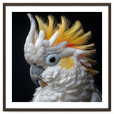 Close Up Cockatoo Portrait Yellow Crested Bird thumbnail