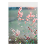 Dance With Air (Print Only) thumbnail