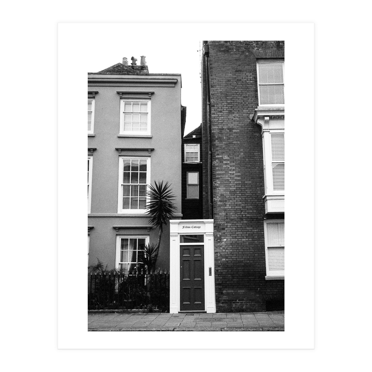 Narrow Living (Print Only)