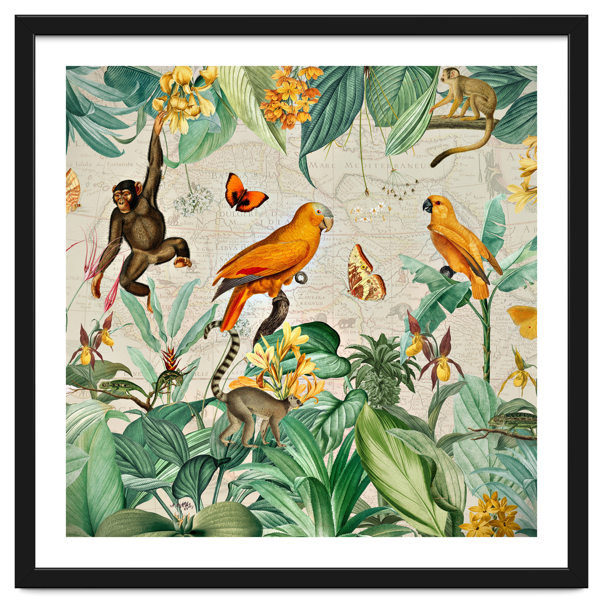 Vintage African Tropical Jungle Fun Animals