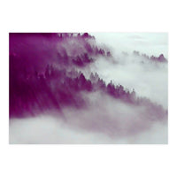 Forest Fog (Print Only)