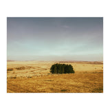 Dartmoor 2018 (Print Only) thumbnail
