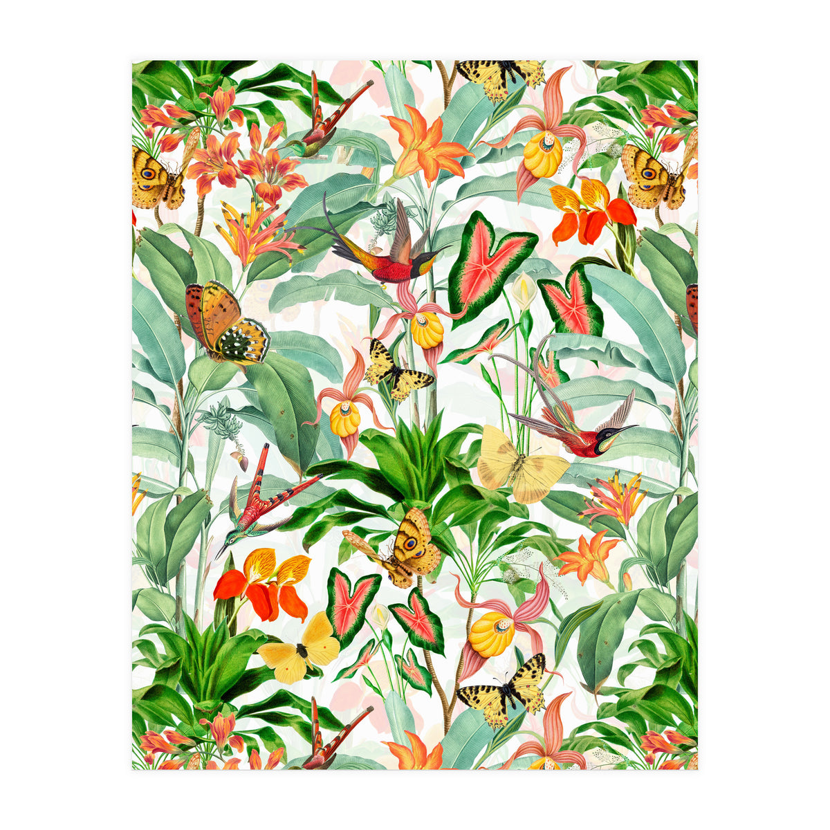Birds And Butterflies In Tropical Jungle (Print Only)