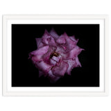 Backyard Flowers No 111 Color Version thumbnail