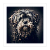 Old Dog 03 (Print Only) thumbnail