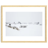 Tables and benches in a snow-covered park thumbnail