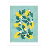 Lemon Blossom (Print Only) thumbnail