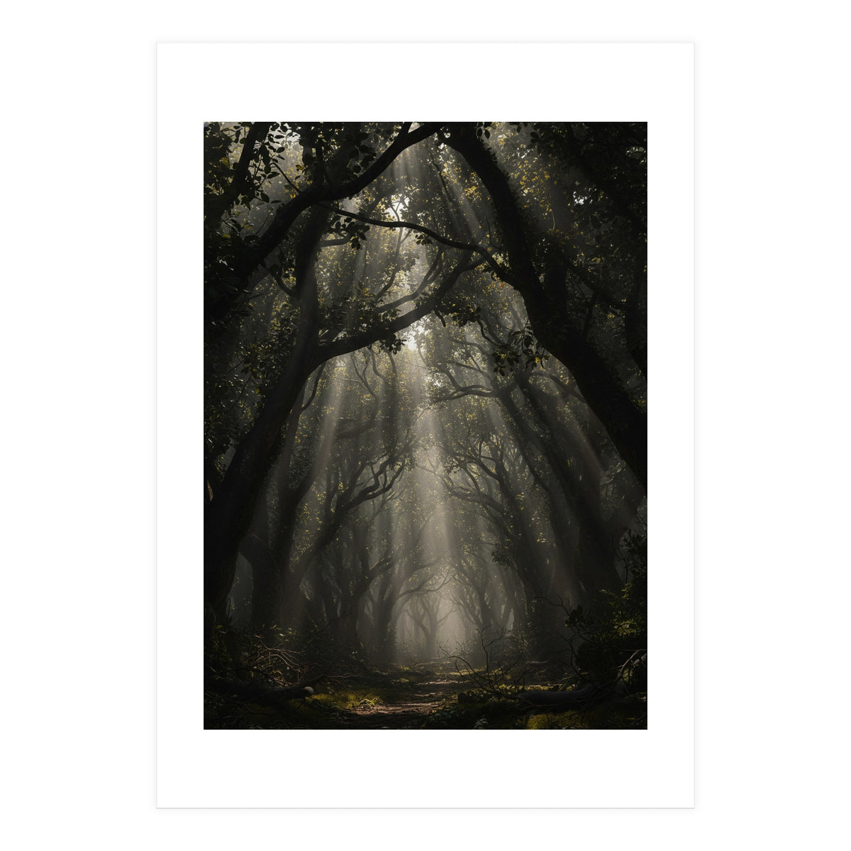 Enchanted Canopy: Mystical Forest Path (Print Only)