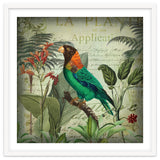 Tropical Bird Nostalgia thumbnail