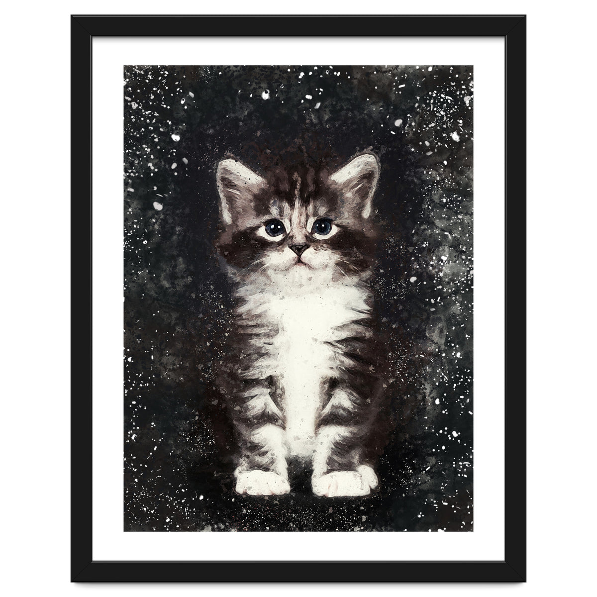 Bicolor Cute Kitten Portrait