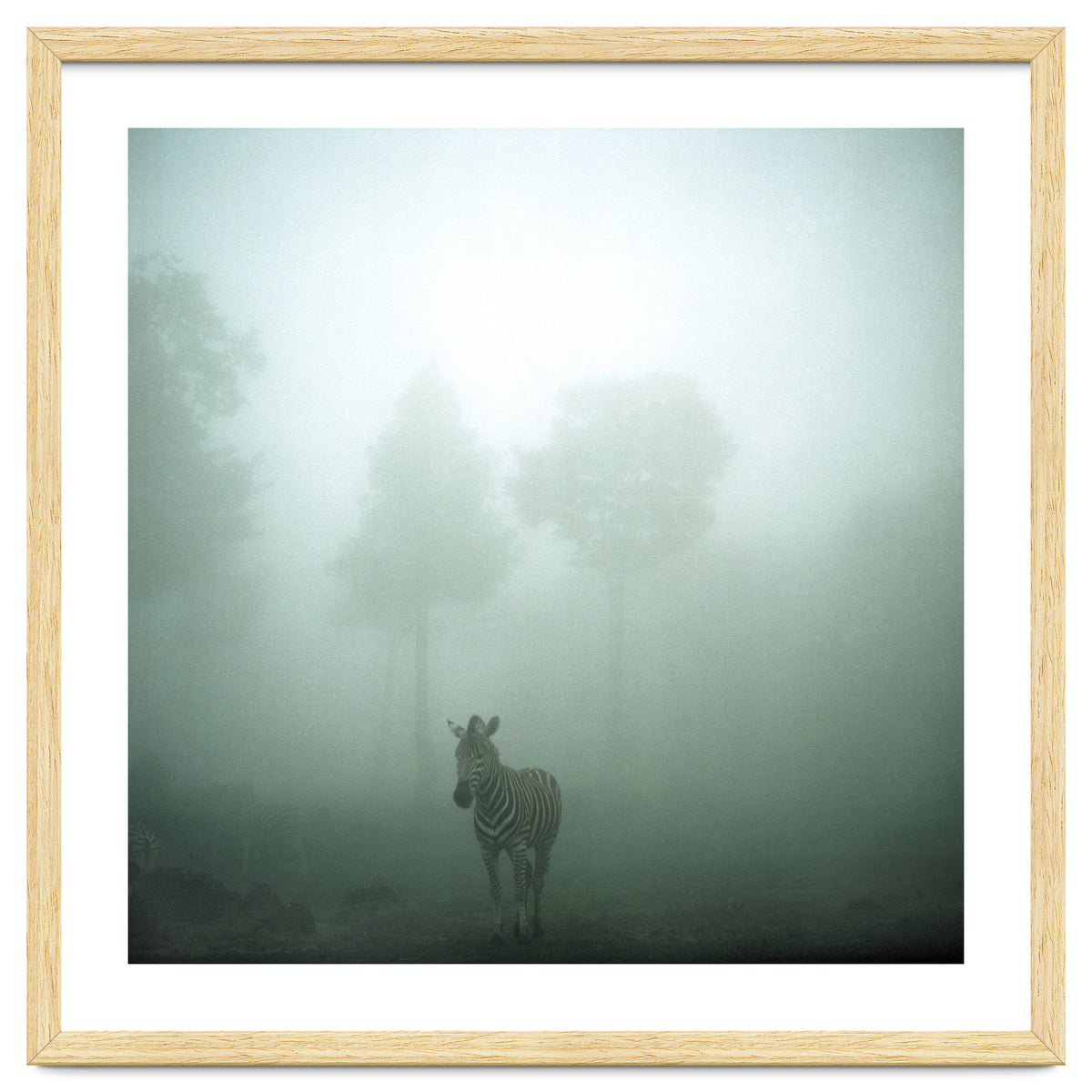 Silence of breath - 01