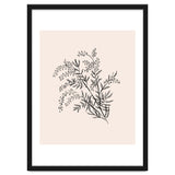 Acacia Botanical illustration thumbnail
