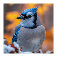 Blue Jay Bird In Winter Snowfall And Leaves (Print Only)