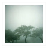 Silence of breath - 17 (Print Only) thumbnail