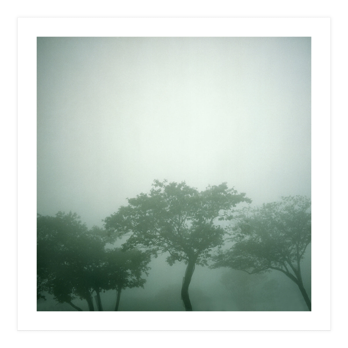 Silence of breath - 17 (Print Only)