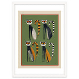 Striped Lemurs thumbnail