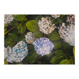 Hydrangeas | Landscape (Print Only) thumbnail